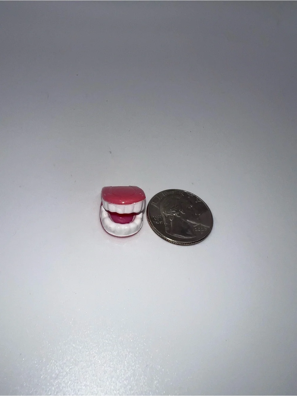 Miniature dollhouse dentures